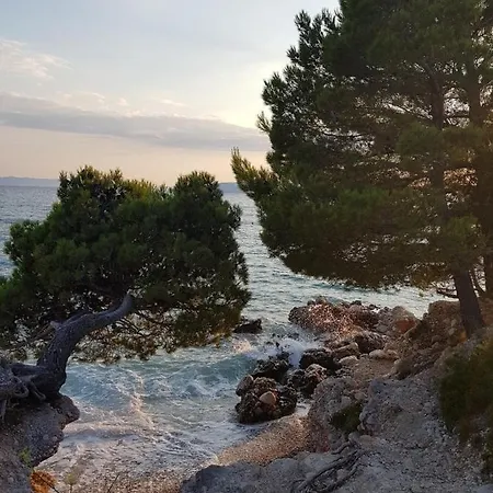 Ruzica Макарска
